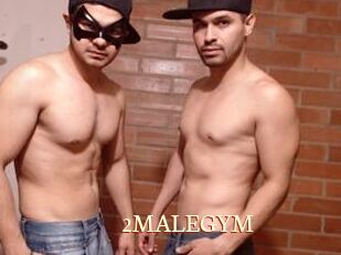 2MALEGYM