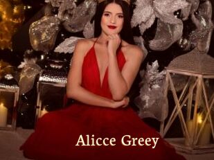 Alicce_Greey