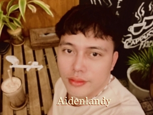 Aidenlandy