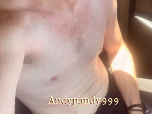 Andypandy999