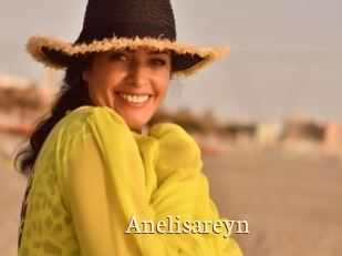 Anelisareyn