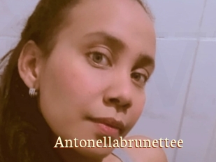 Antonellabrunettee