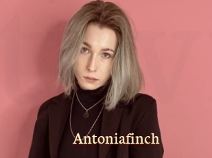 Antoniafinch