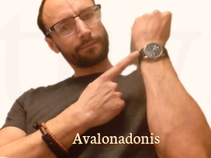 Avalonadonis