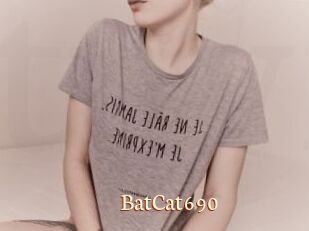 BatCat690