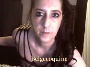 Belgecoquine
