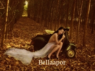 Bellaapor