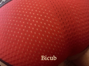 Bicub