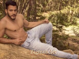 Bigmusclet