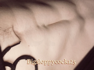 Bigsloppycock125