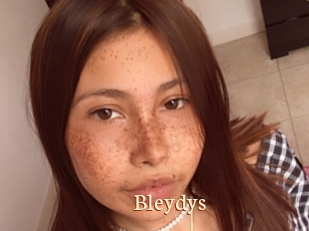 Bleydys