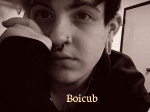 Boicub