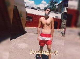 Borningboy
