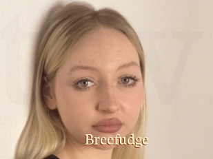 Breefudge
