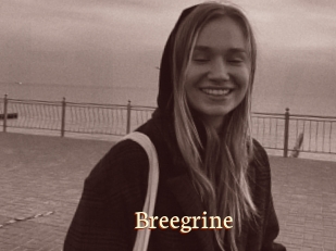 Breegrine