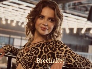 Breehakes