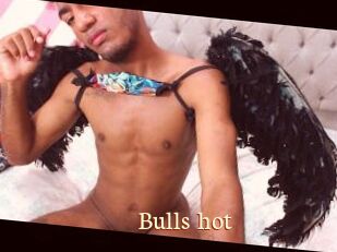Bulls_hot