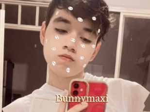 Bunnymaxi