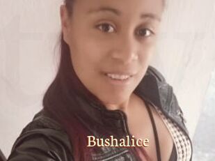 Bushalice