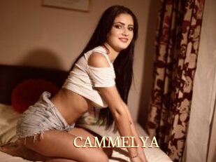 CAMMELYA_