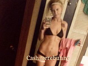 Cashmerebunny