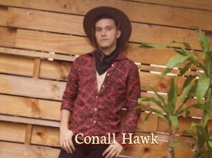 Conall_Hawk