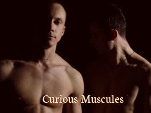 Curious_Muscules