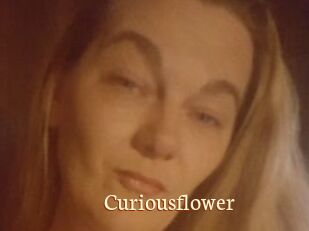 Curiousflower