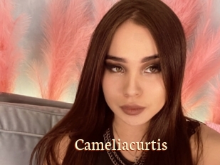 Cameliacurtis