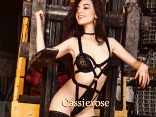 Cassierose