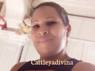 Cattleyadivina