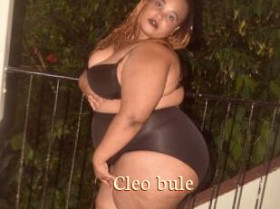 Cleo_bule