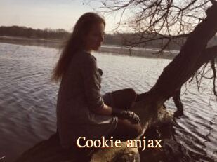 Cookie_anjax