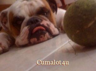 Cumalot4u