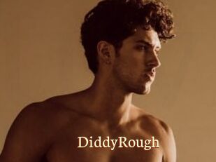 DiddyRough