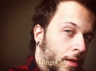 DingoCub