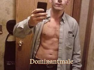 Dominantmale