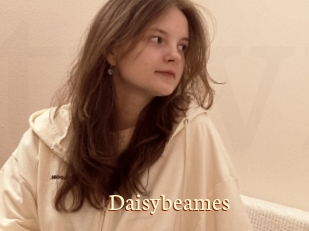 Daisybeames