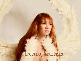 Destroyertrisha