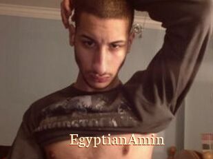 EgyptianAmin