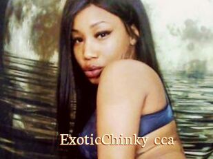 ExoticChinky_cca