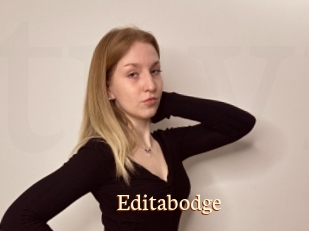 Editabodge