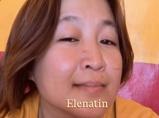 Elenatin