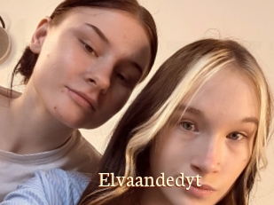 Elvaandedyt