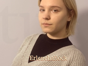 Erlenehallock