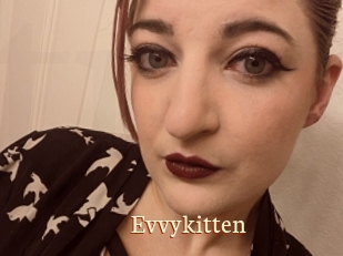 Evvykitten