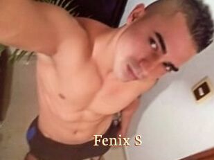Fenix_S