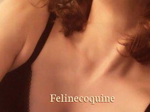 Felinecoquine