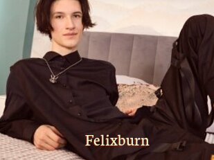 Felixburn
