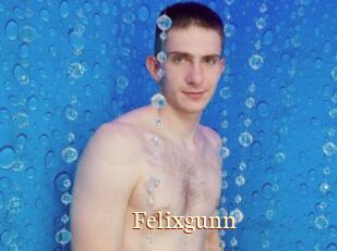 Felixgunn